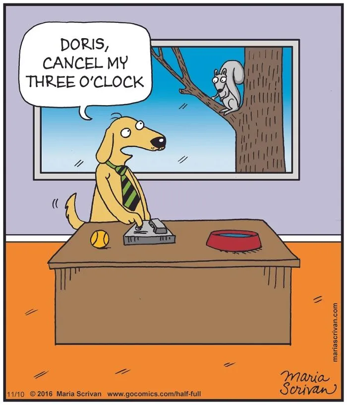 30 New Comics Featuring Absurd Humor And Funny Situations By Maria Scrivan
