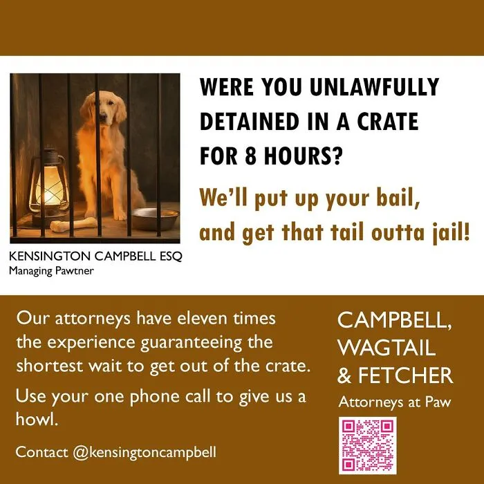 11 Parody Ads For All The Dogs Seeking Attorney Services By Kensington Campbell