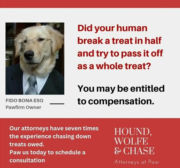 11 Parody Ads For All The Dogs Seeking Attorney Services By Kensington Campbell