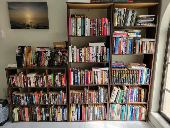Shelf Chaos