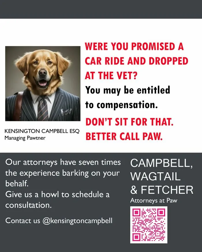 11 Parody Ads For All The Dogs Seeking Attorney Services By Kensington Campbell