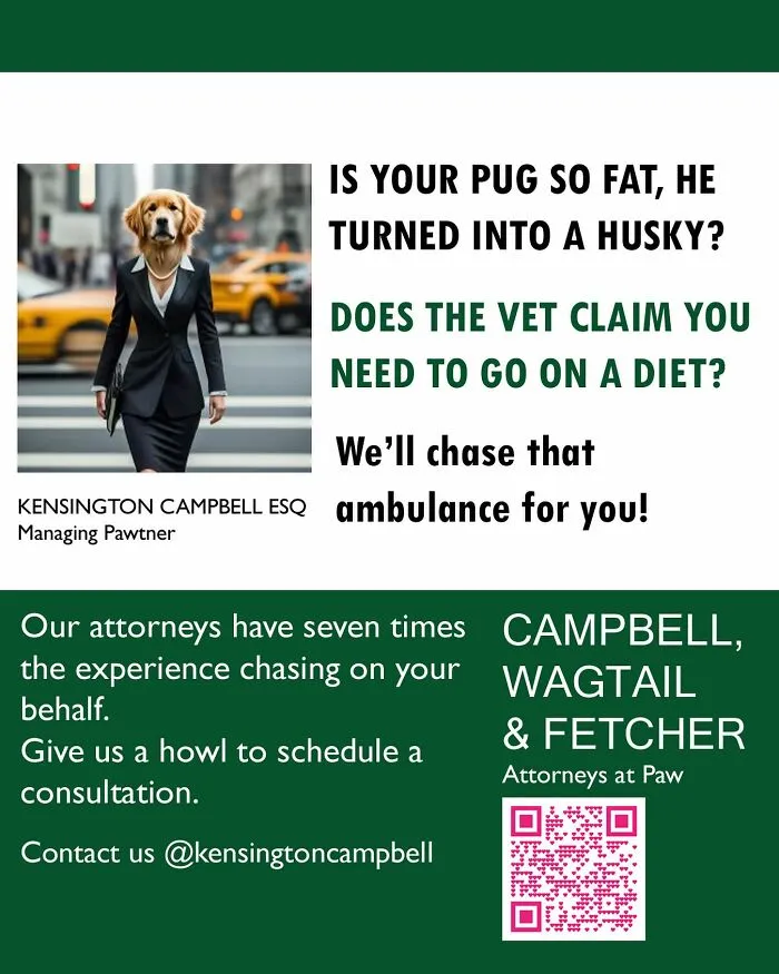 11 Parody Ads For All The Dogs Seeking Attorney Services By Kensington Campbell