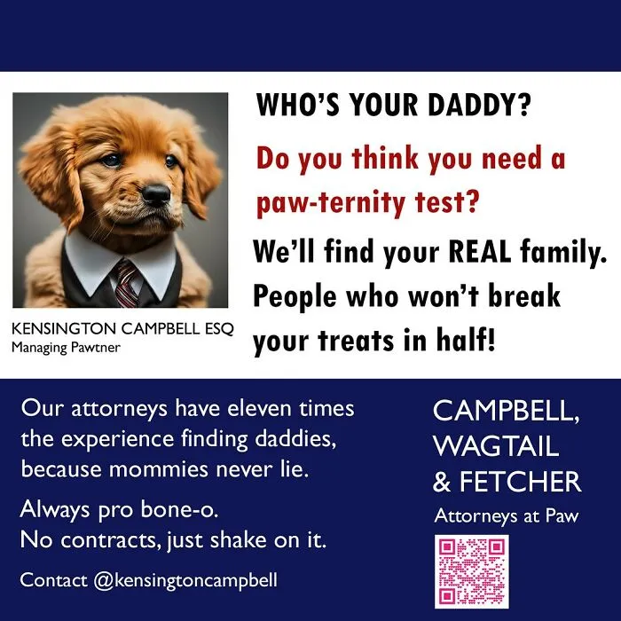 11 Parody Ads For All The Dogs Seeking Attorney Services By Kensington Campbell