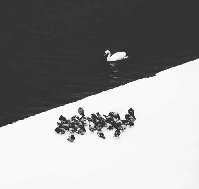 This Instagram Page With More Than 676K Followers Shares 30 Of The Best B&W Pics