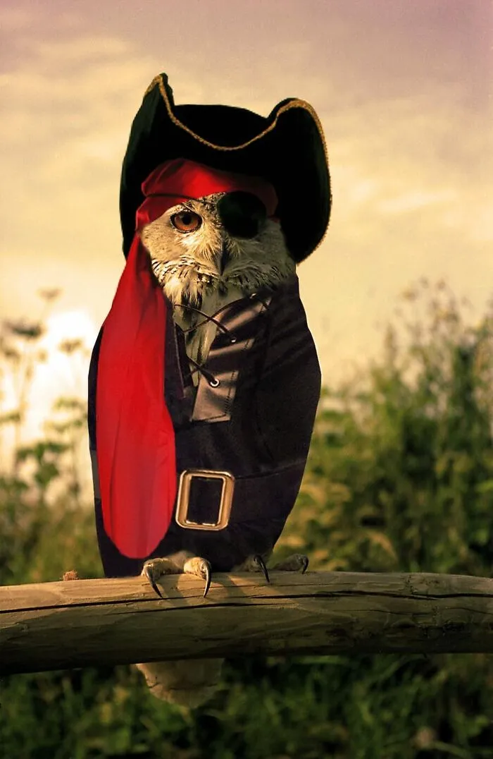 Designers Were Challenged To Dress-Up Animals In Human Clothing, Here Is How It Went (30 Pics)