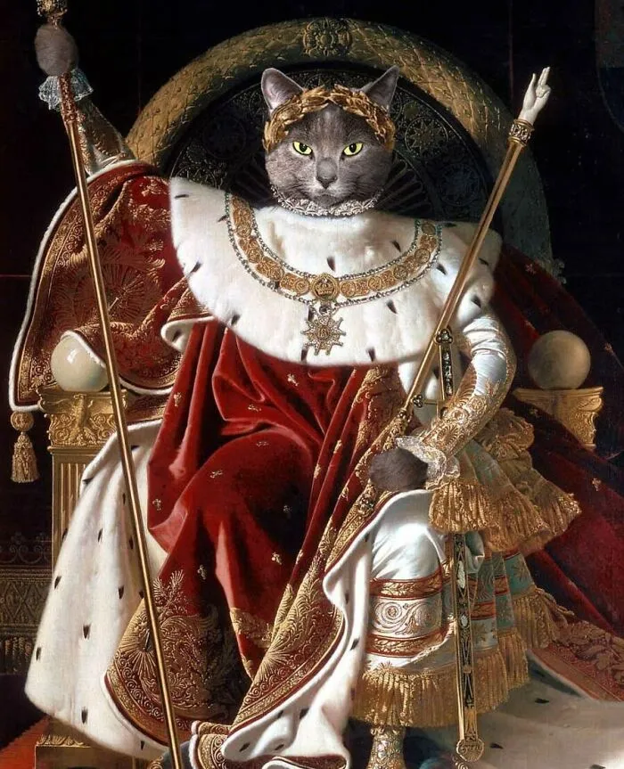 Designers Were Challenged To Dress-Up Animals In Human Clothing, Here Is How It Went (30 Pics)