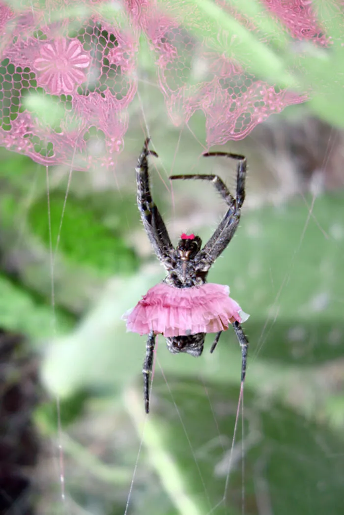 Designers Were Challenged To Dress-Up Animals In Human Clothing, Here Is How It Went (30 Pics)