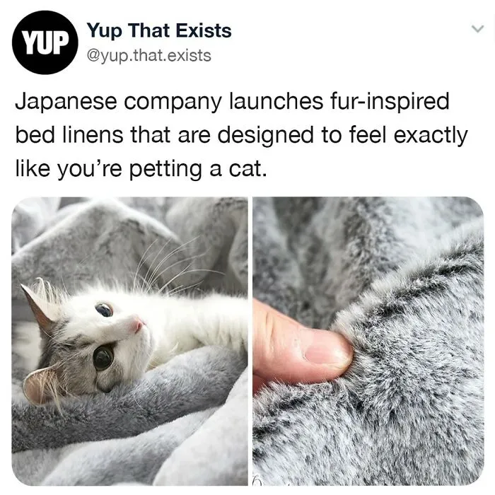 “Yup That Exists”: 50 Weird But Very Real Things, As Shared On This Online Page (New Pics)