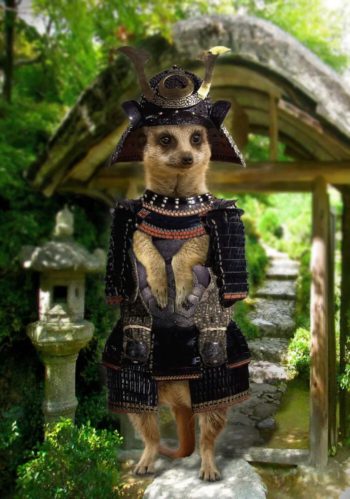 Designers Were Challenged To Dress-Up Animals In Human Clothing, Here Is How It Went (30 Pics)