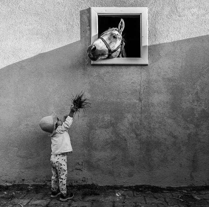 This Instagram Page With More Than 676K Followers Shares 30 Of The Best B&W Pics