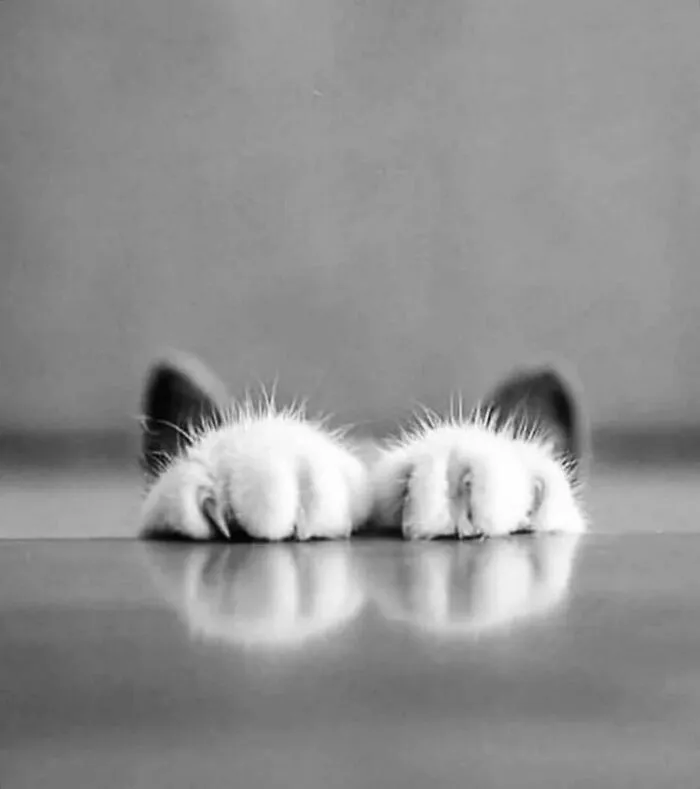 This Instagram Page With More Than 676K Followers Shares 30 Of The Best B&W Pics