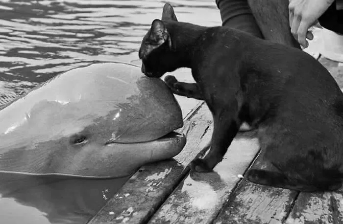 This Instagram Page With More Than 676K Followers Shares 30 Of The Best B&W Pics