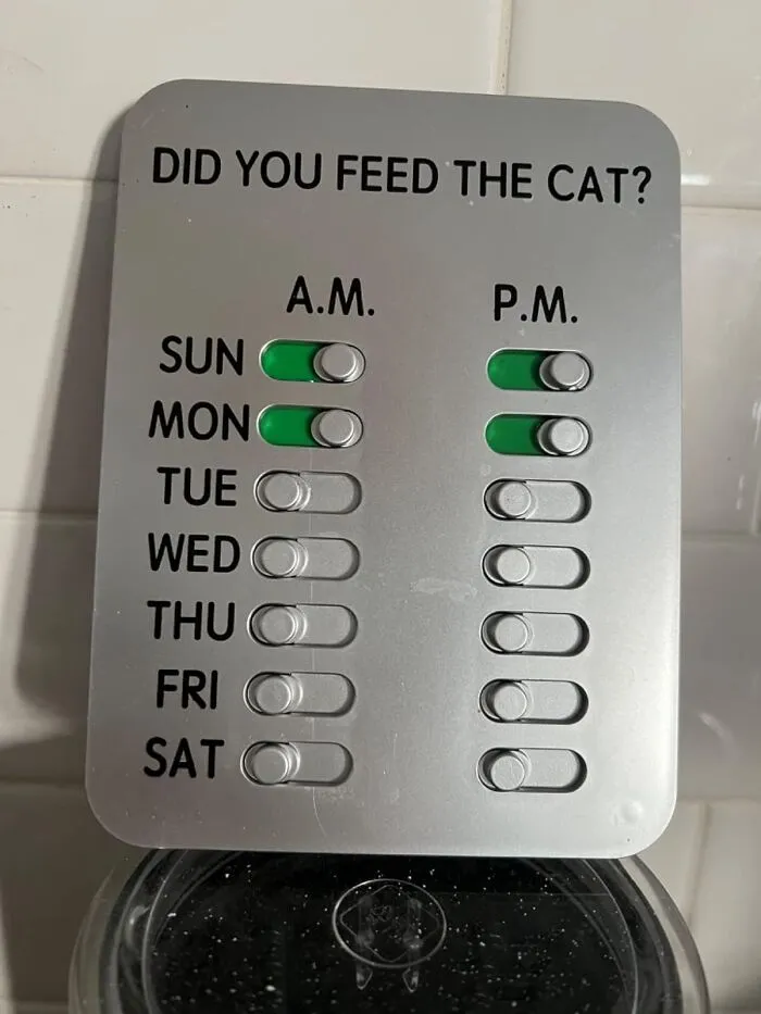 Mealtime Magic For Pets: <span Style="Font:inherit;color:#d74b1f;"> Reminder</Span> Kit With Magnets & Stickies For Timely Feeds!