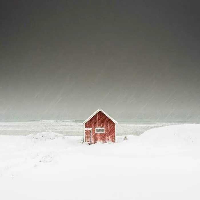 Surviving The Elements