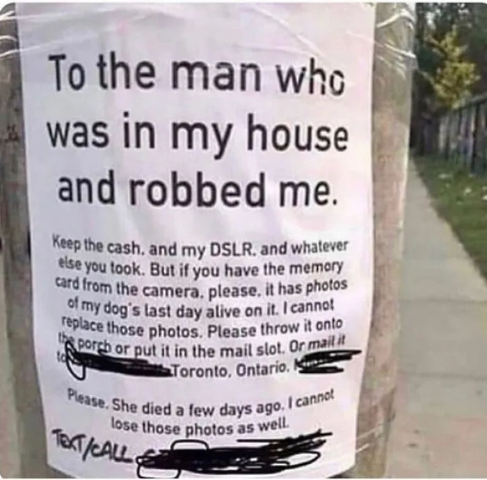 Heartbreaking Letter Asks Burglar To Return Pics Of Dog's Last Day Alive