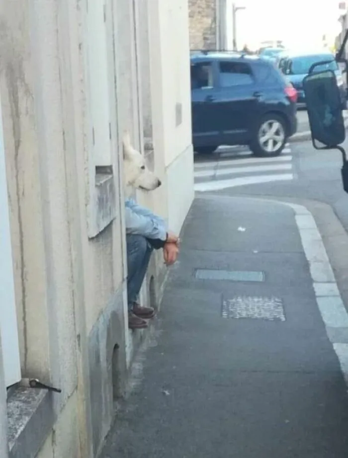 Hombre perro