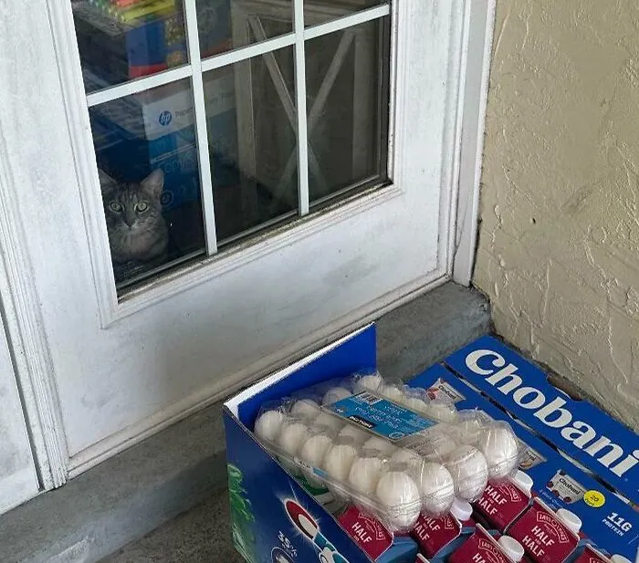 When The Customer Stares While You Deliver