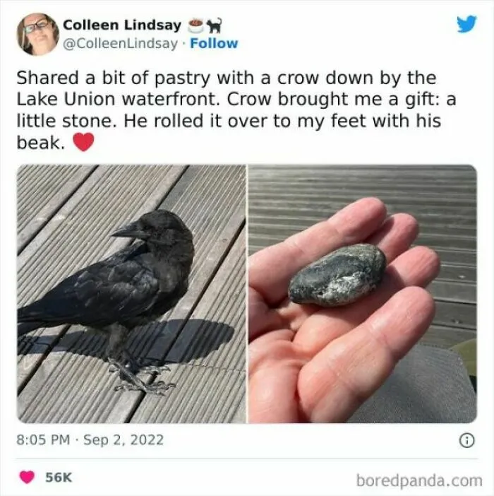 ‘Wholesome’: 50 Memes To Make You Believe In The Goodness Of Things Again