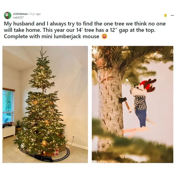‘Wholesome’: 50 Memes To Make You Believe In The Goodness Of Things Again