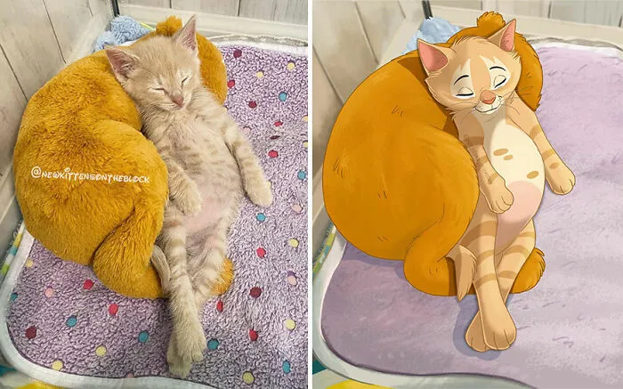 People Send Pics Of Their Pets To This Artist And She Disneyfies Them (22 New Pics)