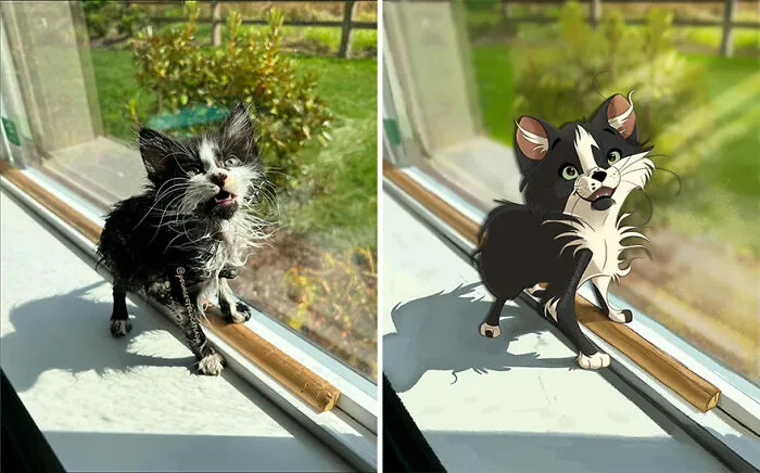 People Send Pics Of Their Pets To This Artist And She Disneyfies Them (22 New Pics)