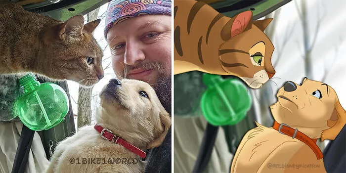 People Send Pics Of Their Pets To This Artist And She Disneyfies Them (22 New Pics)