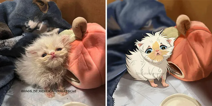 People Send Pics Of Their Pets To This Artist And She Disneyfies Them (22 New Pics)