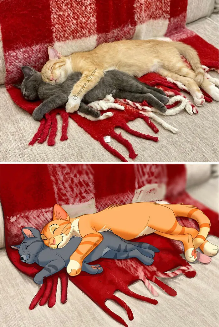 People Send Pics Of Their Pets To This Artist And She Disneyfies Them (22 New Pics)