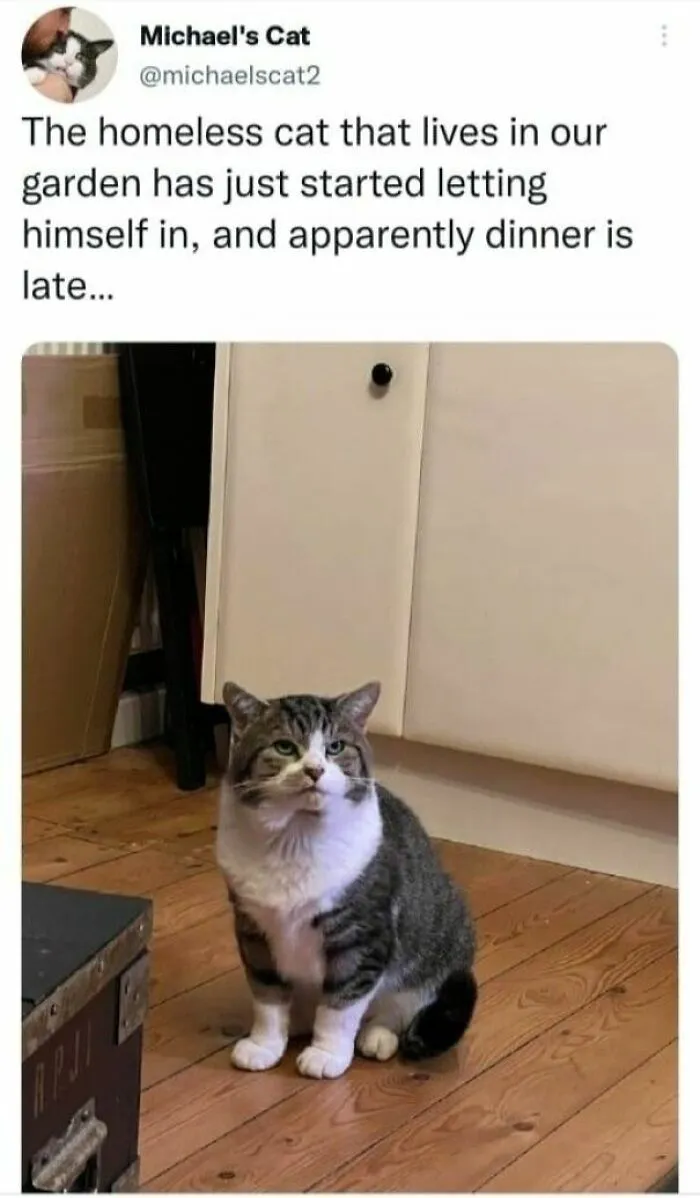 ‘Wholesome’: 50 Memes To Make You Believe In The Goodness Of Things Again