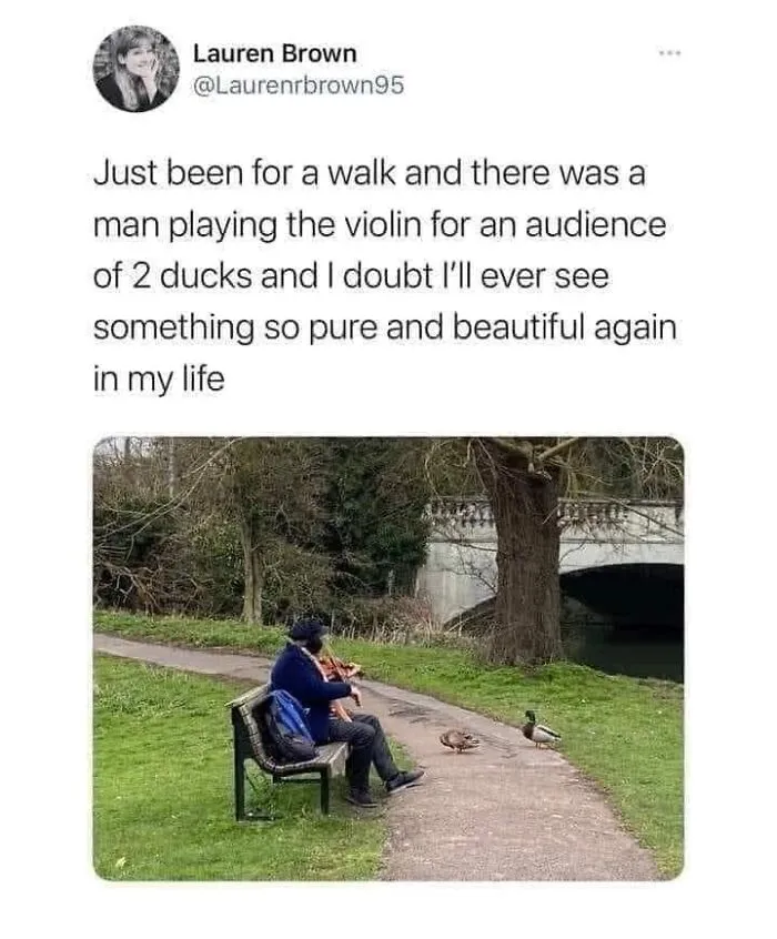 ‘Wholesome’: 50 Memes To Make You Believe In The Goodness Of Things Again