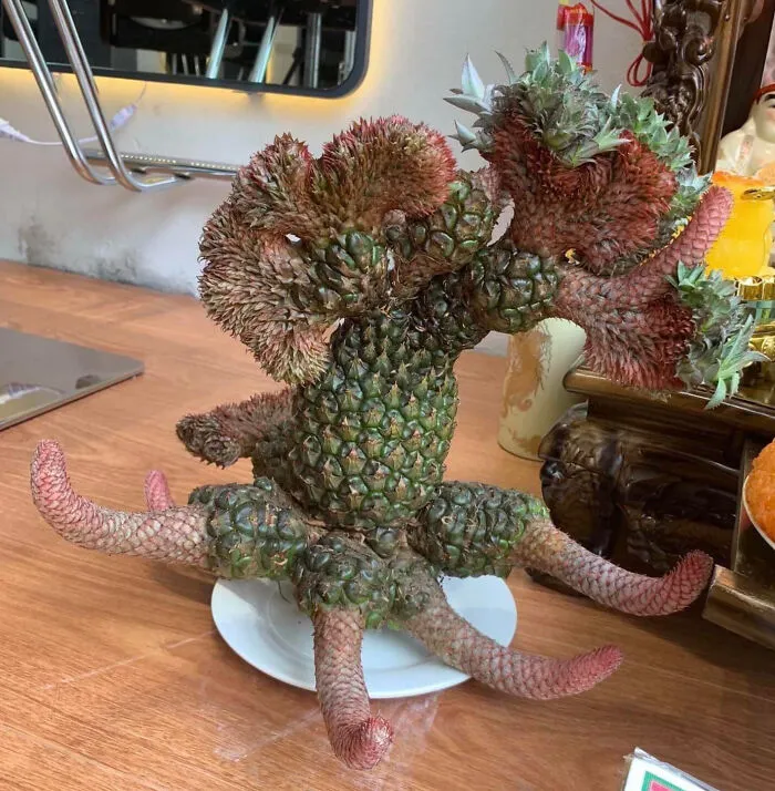 A Weird Pineapple That Has Undergone Cresting, Also Known As Fasciation