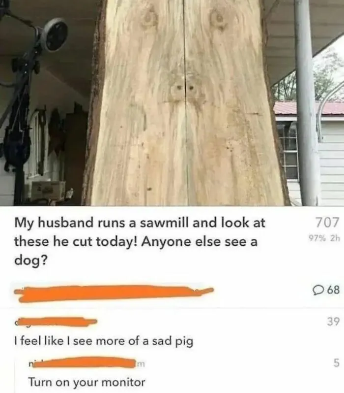 Funny-Daily-Humor-Memes