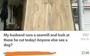 “Daily Humor Memes”: 40 Of The Best Posts From This Page Dedicated To Making People Smile