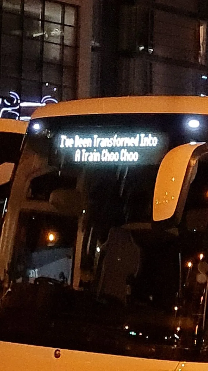 Choo Choo I'm A Train Now