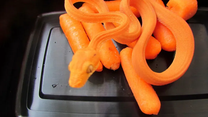 Forbidden Carrot