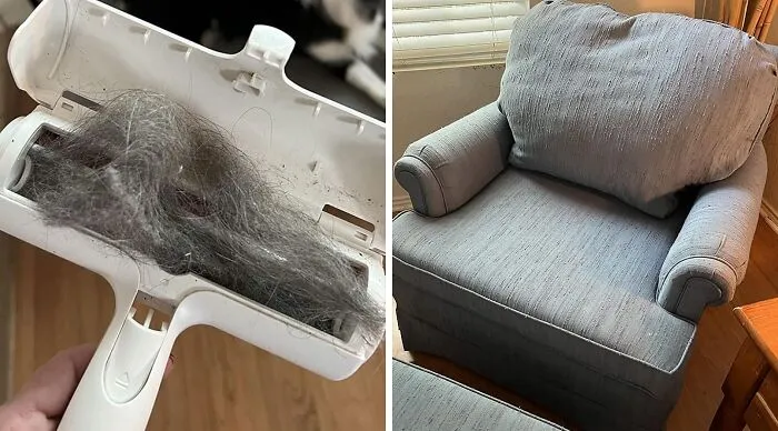 Say Goodbye To Pet Hair With <span Style="Font:inherit;color:#d74b1f;"> Chom Chom Roller</Span> - Your Ultimate Pet Hair Remover And Reusable Lint Roller!