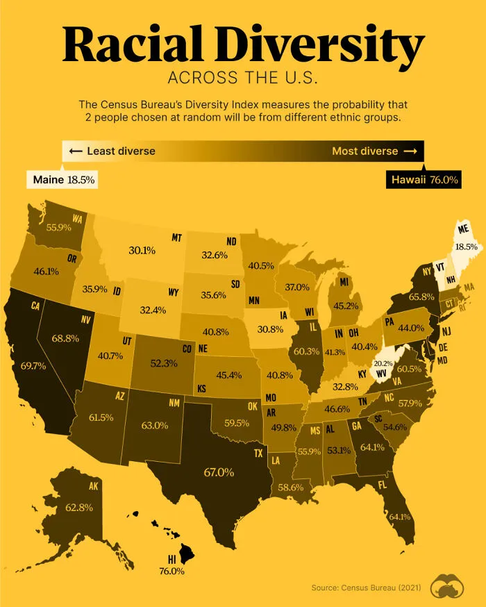 US Racial/Ethnic Diversity Map