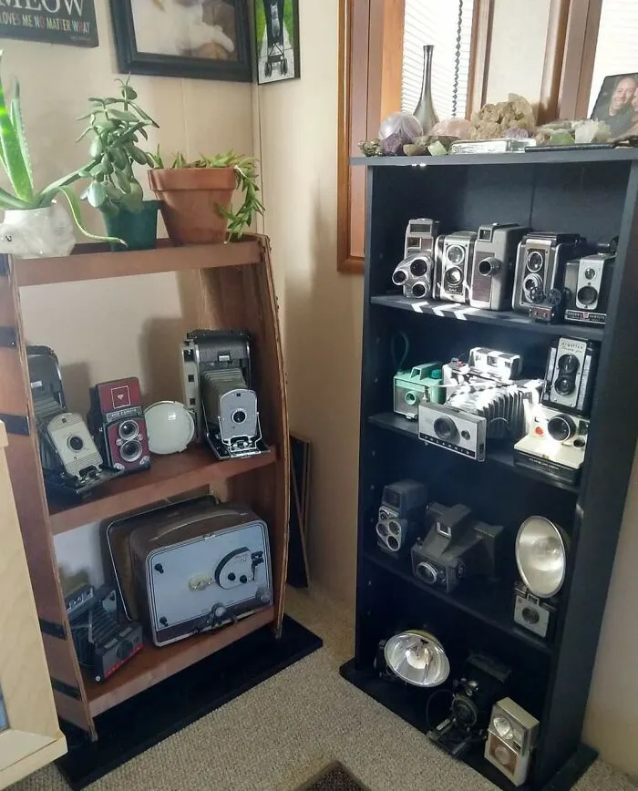 My Beloved Vintage Camera Collection