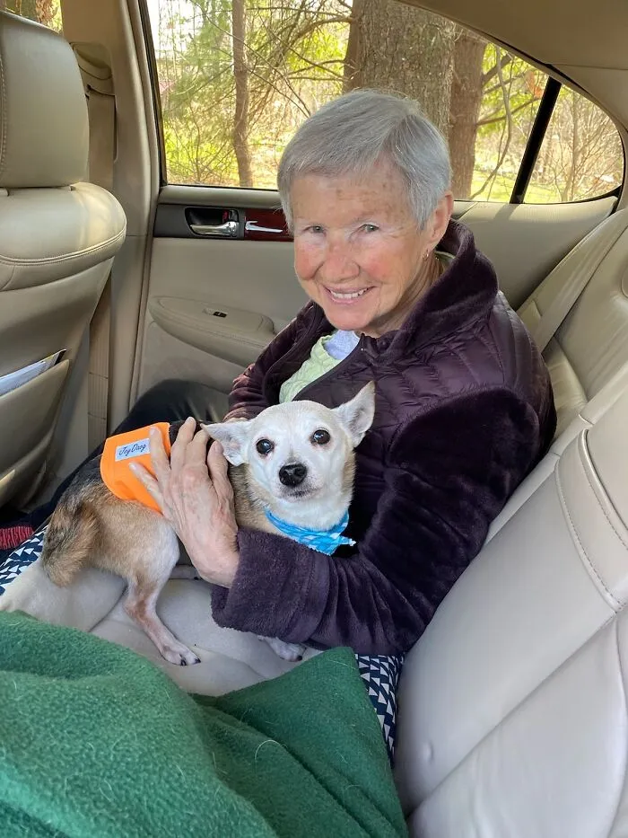 Mi abuela de 87 años con su perro abuelo de 14 años recién adoptado