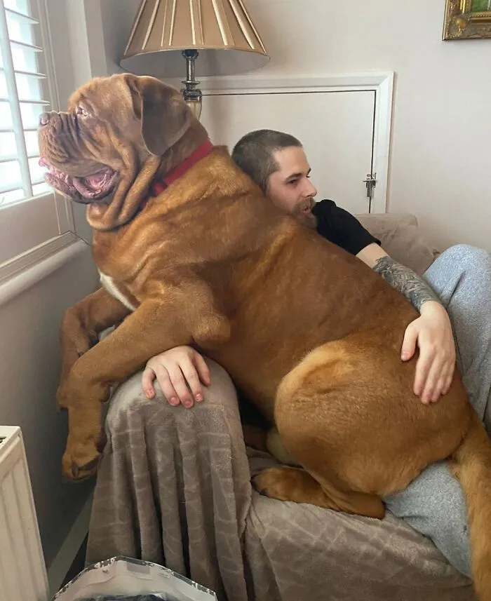 El perro de mis padres. Solo lo veo durante las vacaciones