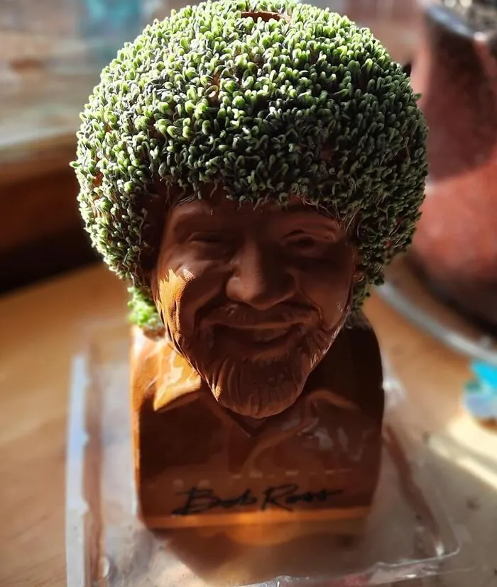 Grow Your Own Happy Little Trees With <span Style="Font:inherit;color:#d74b1f;"> Bob Ross Chia Pet </Span>