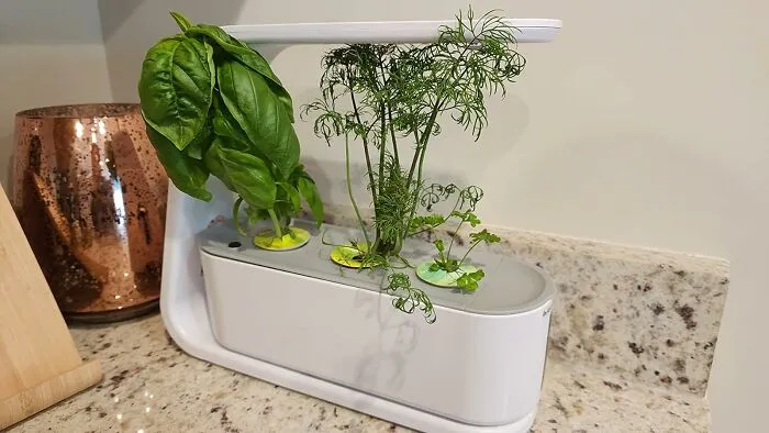 Experience Freshness With <span Style="Font:inherit;color:#d74b1f;"> AeroGarden Sprout</Span>: Complete With Gourmet Herbs Seed Pod Kit For Flavorful Homegrown Delights