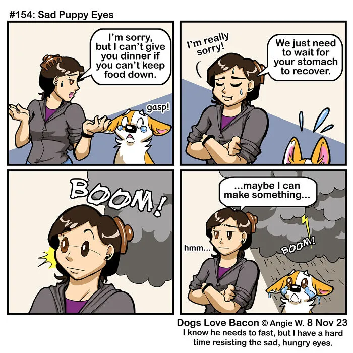 30 Comics About The Funny Reality Of Being A Dog Owner (New Pics)