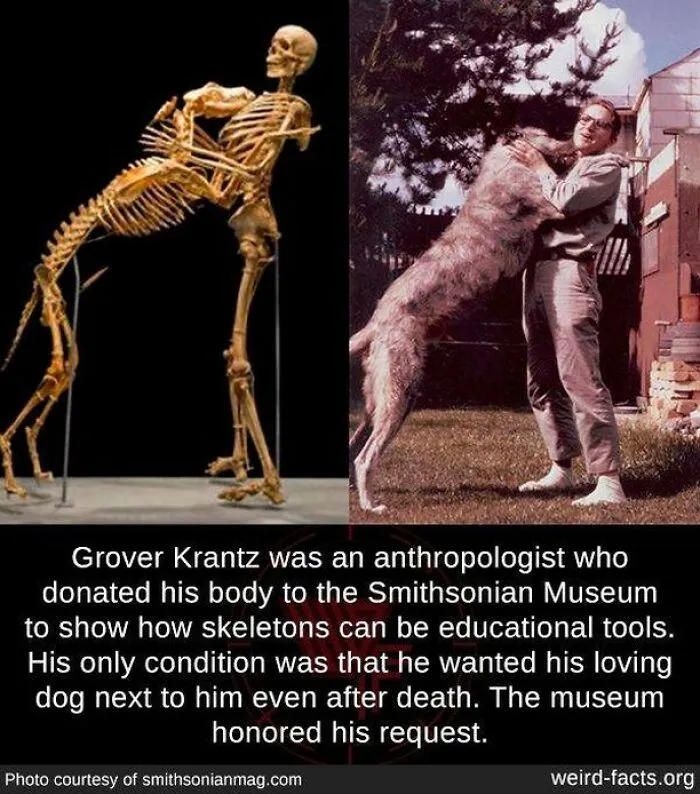 50 ‘Weird Facts’ About The World That You Might Not Have Known (New Pics)