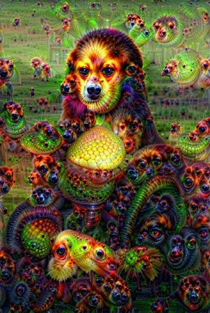 Psychedelic And Weird