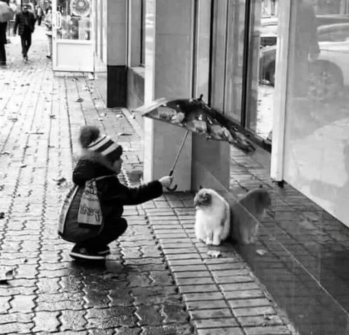 This Instagram Page With More Than 676K Followers Shares 30 Of The Best B&W Pics
