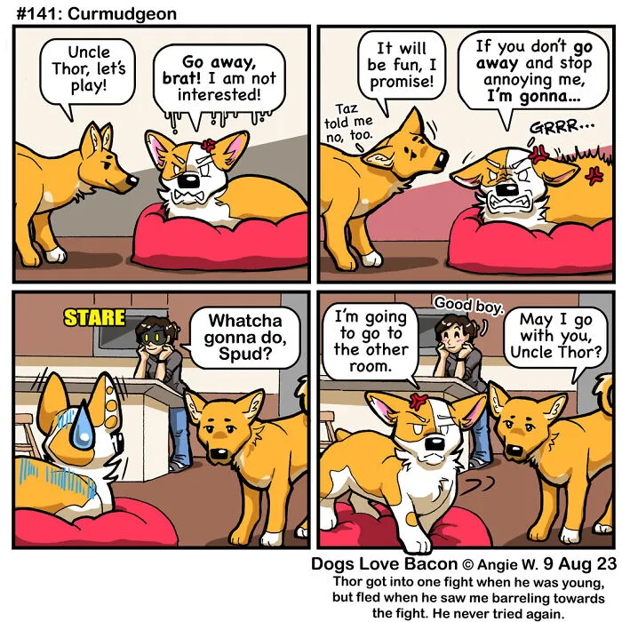 30 Comics About The Funny Reality Of Being A Dog Owner (New Pics)