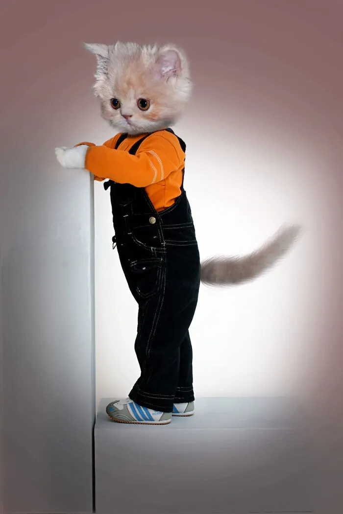 Designers Were Challenged To Dress-Up Animals In Human Clothing, Here Is How It Went (30 Pics)