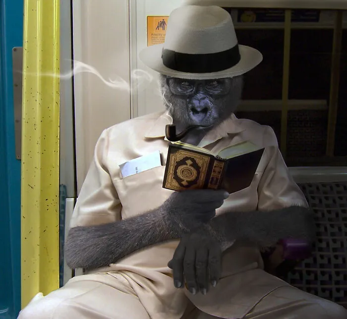 Designers Were Challenged To Dress-Up Animals In Human Clothing, Here Is How It Went (30 Pics)