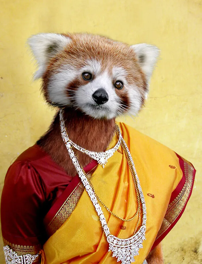 Designers Were Challenged To Dress-Up Animals In Human Clothing, Here Is How It Went (30 Pics)
